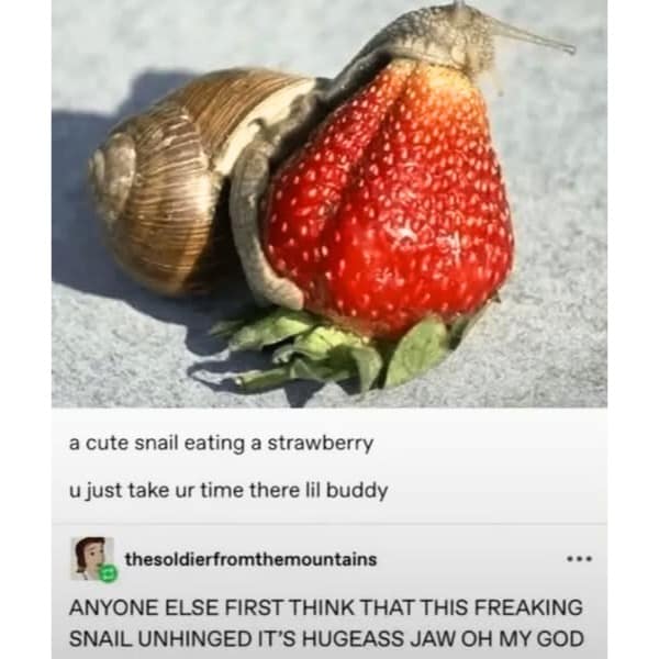 ANYONE ELSE FIRST THINK THAT THIS FREAKING SNAIL UNHINGED IT'S HUGEASS JAW OH MY GOD