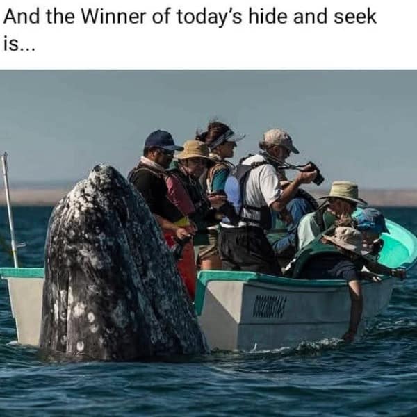 And the Winner of today's hide and seek is...