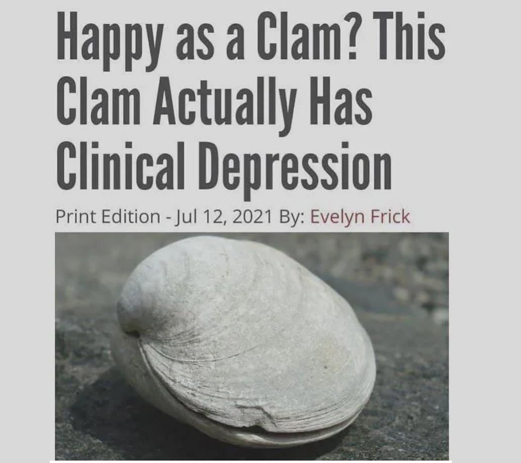 Happy as a Clam? This Clam Actually Has Clinical Depression