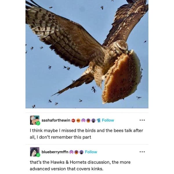 I think maybe I missed the birds and the bees talk after all, I don't remember this part