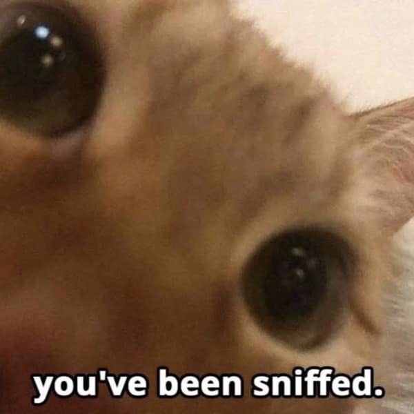 you've been sniffed.