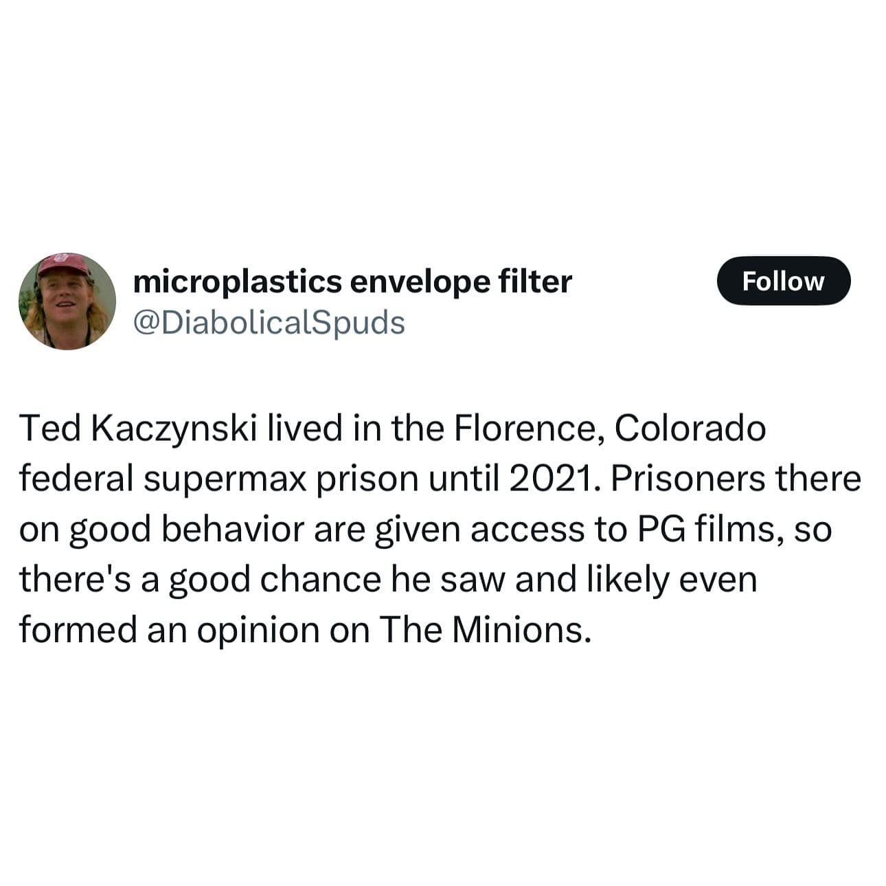 Ted Kaczynski lived in the Florence, Colorado federal supermax prison until 2021. Prisoners there on good behavior are given access to PG films, so there's a good chance he saw and likely even formed an opinion on The Minions.