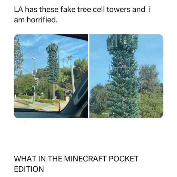 LA has these fake tree cell towers and i am horrified. WHAT IN THE MINECRAFT POCKET EDITION