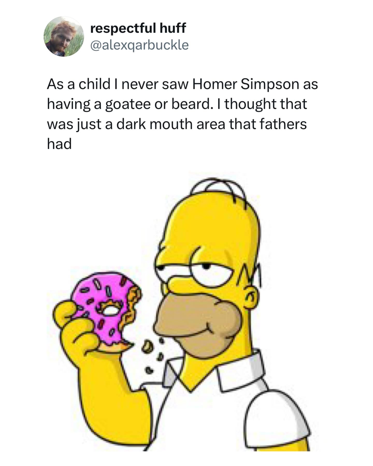 As a child I never saw Homer Simpson as having a goatee or beard. I thought that was just a dark mouth area that fathers had