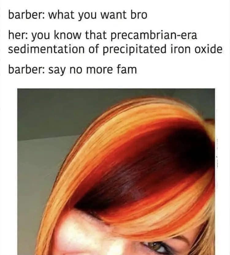 barber: what you want bro her: you know that precambrian-era sedimentation of precipitated iron oxide barber: say no more fam