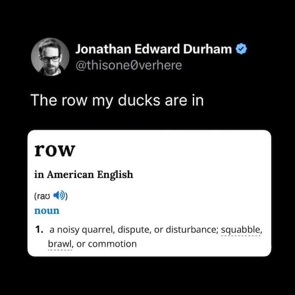 The row my ducks are in