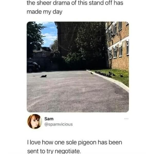 I love how one sole pigeon has been sent to try negotiate.