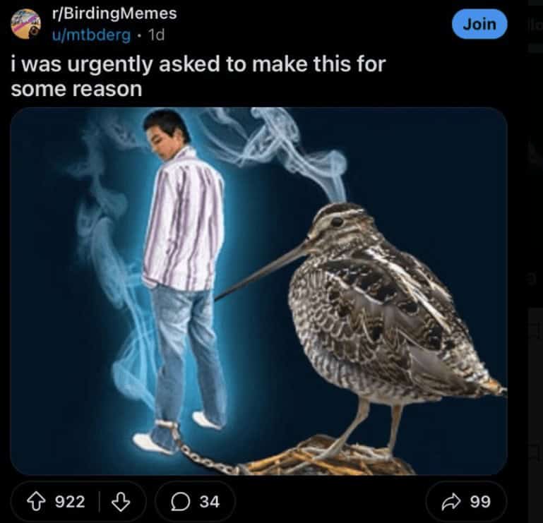 funny reddit posts, funny reddit, Reddit memes, Reddit jokes, Reddit humor, reddit comments, reddit threads, reddit laughs, reddit screenshots, viral Reddit posts, popular Reddit posts, trending Reddit, funny subreddits, social media memes, internet jokes, online humor, comment memes