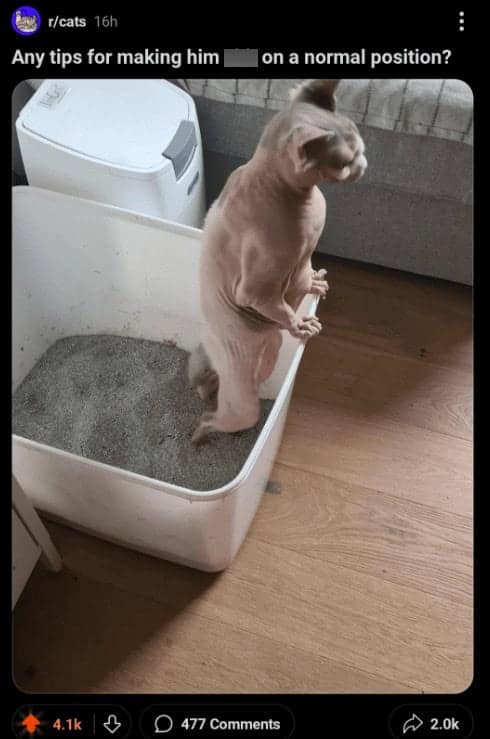 funny reddit posts, funny reddit, Reddit memes, Reddit jokes, Reddit humor, reddit comments, reddit threads, reddit laughs, reddit screenshots, viral Reddit posts, popular Reddit posts, trending Reddit, funny subreddits, social media memes, internet jokes, online humor, comment memes