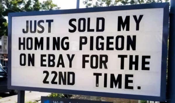 funny signs, humorous signage, silly signs, funny road signs, sign fails, hilarious signs, amusing signage, signage humor, street sign humor, ridiculous signs, confusing signs, ironic signage