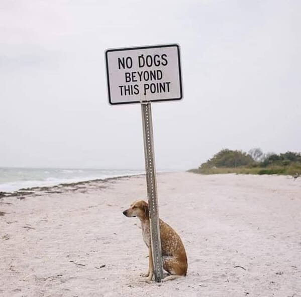 funny signs, humorous signage, silly signs, funny road signs, sign fails, hilarious signs, amusing signage, signage humor, street sign humor, ridiculous signs, confusing signs, ironic signage