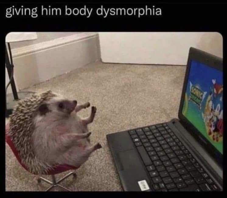 gamer memes, gaming memes, video game memes, player memes, video game jokes, game jokes, console jokes, joystick jokes, gaming humor, gamer humor, video game humor, nerd humor, esports memes, competitive memes, tournament memes, pro gaming memes