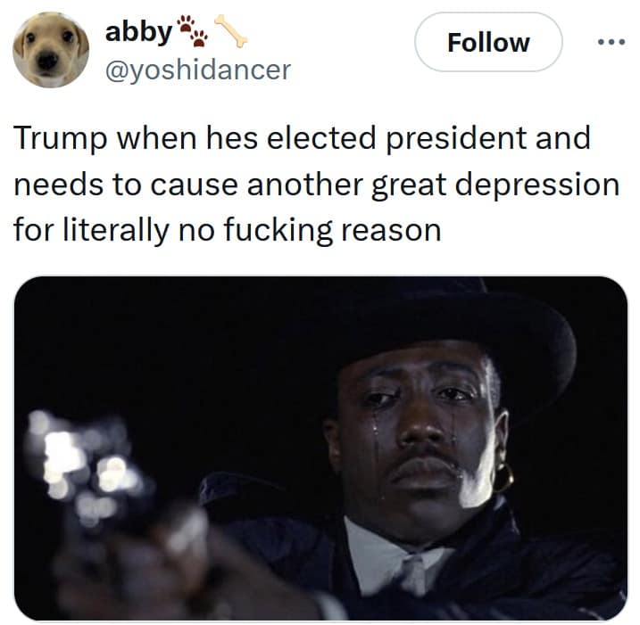 great depression memes, great depression 2 memes, 2nd great depression memes, recession memes, economic collapse memes, tariff humor, trump tariff memes, economic crisis jokes, downturn memes, recession humor, financial disaster jokes, market crash memes, economic apocalypse humor, trade war memes, import tax jokes, customs comedy