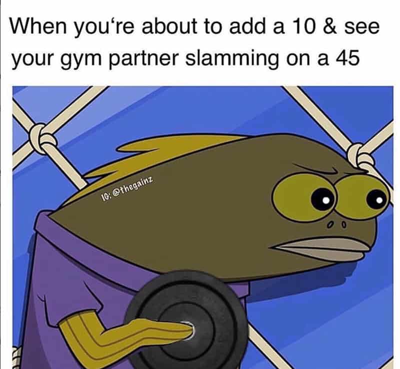 gym memes, workout memes, fitness memes, exercise memes, fitness jokes, exercise humor, health club jokes, gym life references, fitness content, funny gym quotes, comedic workout lines, humorous exercise remarks, sweat session jokes, bodybuilding gags, CrossFit banter, squat rack humor
