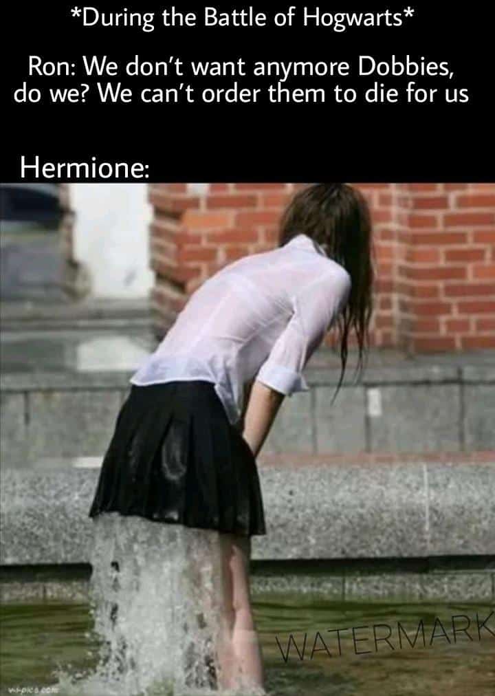 harry potter memes, hogwarts memes, wizard memes, magic memes, quidditch memes, potterverse memes, potter memes