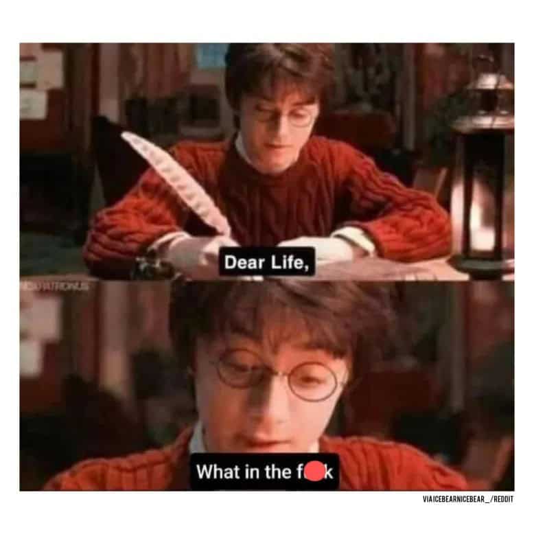harry potter memes, hogwarts memes, wizard memes, magic memes, quidditch memes, potterverse memes, potter memes