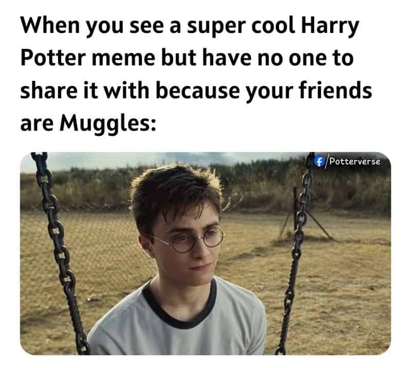 harry potter memes, hogwarts memes, harry potter jokes, harry potter humor, potterverse memes