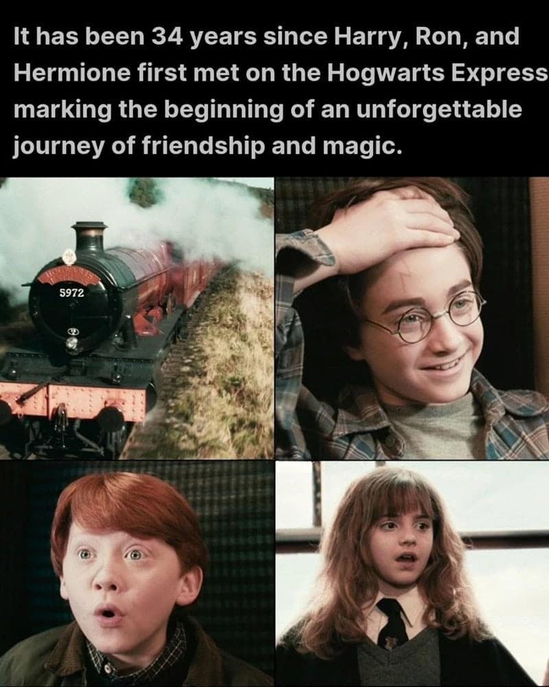 harry potter memes, hogwarts memes, harry potter jokes, harry potter humor, potterverse memes