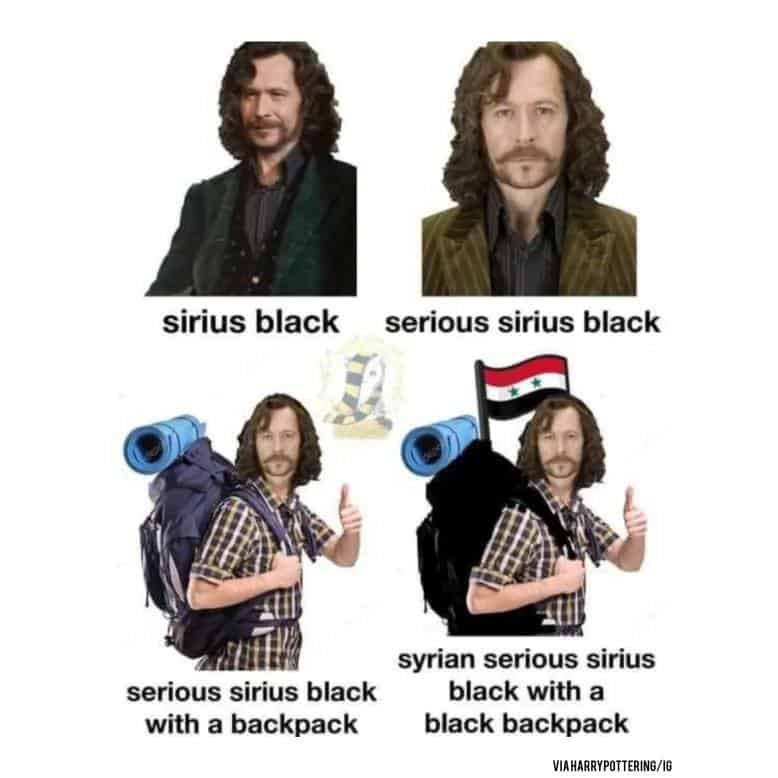 harry potter memes, hogwarts memes, wizard memes, magic memes, quidditch memes, potterverse memes, potter memes