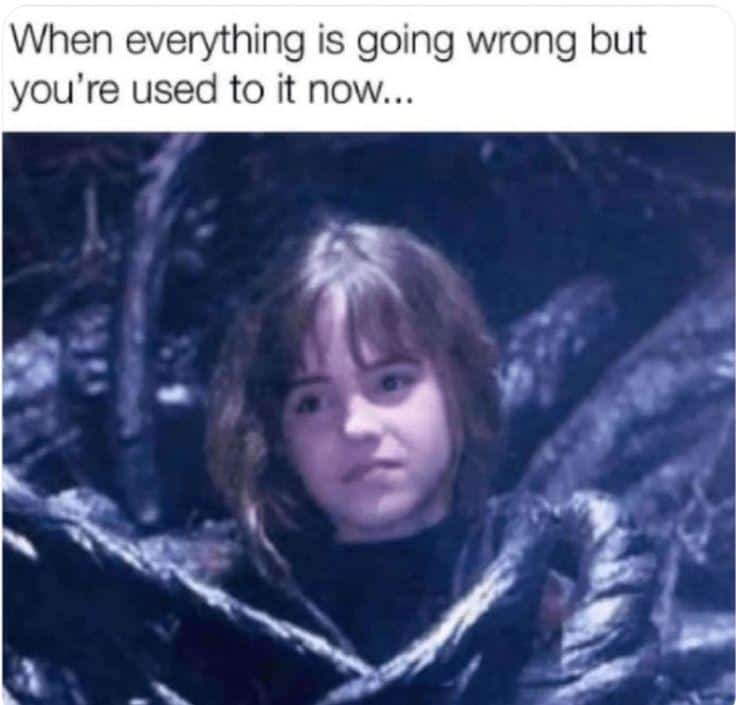 harry potter memes, hogwarts memes, harry potter jokes, harry potter humor, potterverse memes