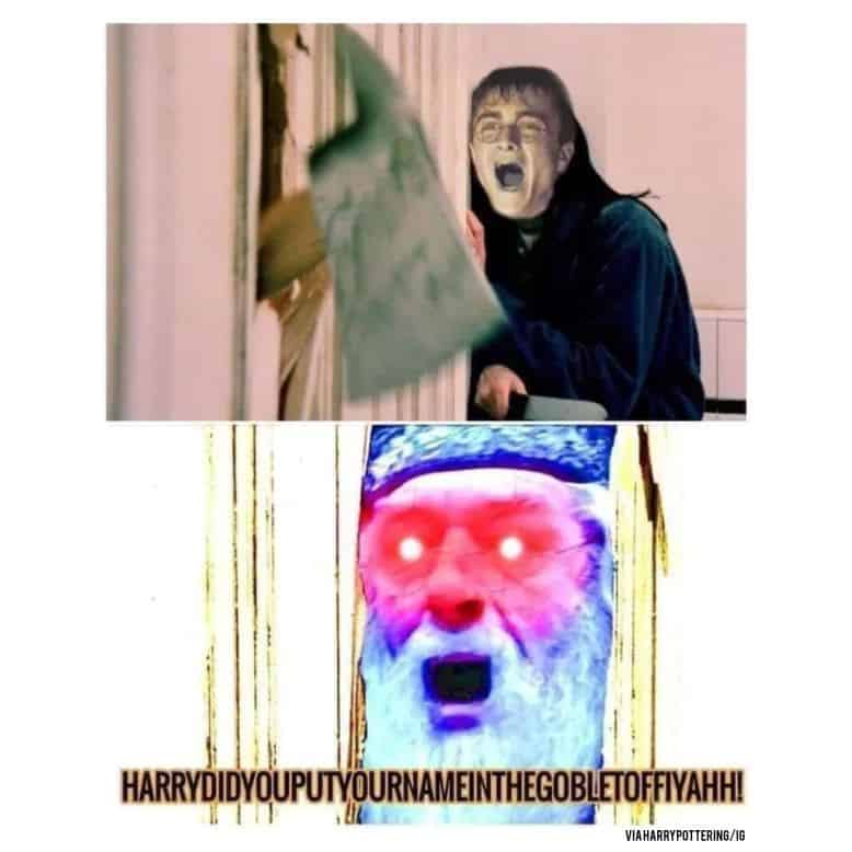 harry potter memes, hogwarts memes, wizard memes, magic memes, quidditch memes, potterverse memes, potter memes