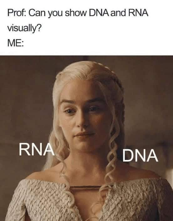 Prof: Can you show DNA and RNA visually? ME: RNA DNA