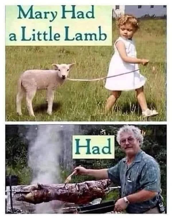 hold up memes, funny memes, confusing memes, unexpected humor, meme humor, internet comedy, meme reactions, relatable confusion, mind-blowing memes, comedic memes, meme surprises, humorous memes