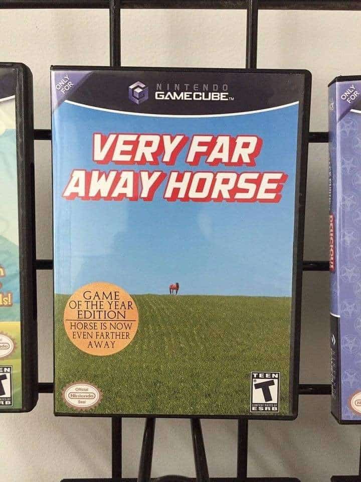 horse memes, funny horse, equestrian memes, horse jokes, horse girl memes