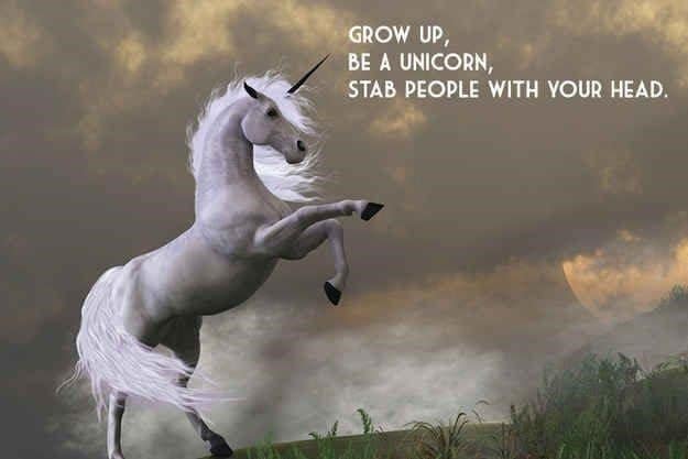 horse memes, funny horse, equestrian memes, horse jokes, horse girl memes