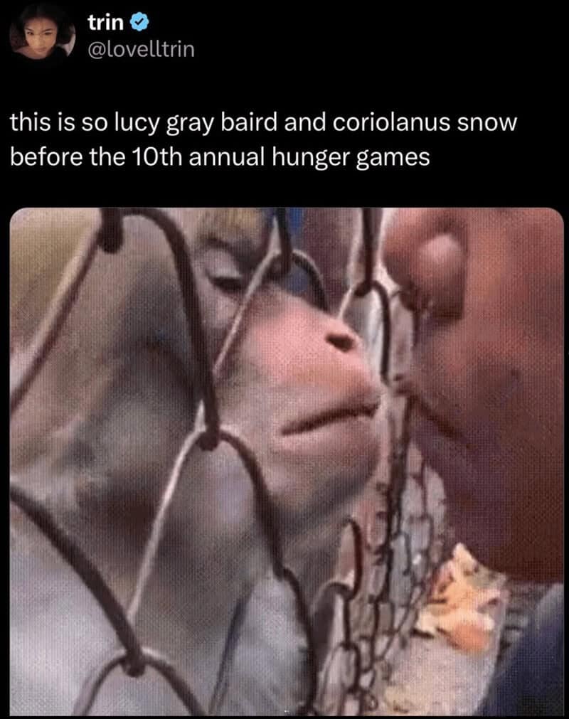 hunger games memes, katniss memes, mockingjay memes, tribute jokes, katniss everdeen, peeta mellark, district jokes, dystopian memes, arena memes, rebellion humor, book memes, movie memes, fandom laughs, the hunger games memes