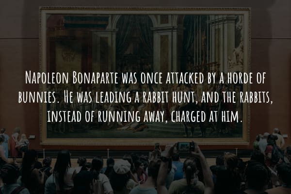 NAPOLEON BONAPARTE WAS ONCE ATTACKED BY A HORDE OF BUNNIES. HE WAS LEADING A RABBIT HUNT, AND THE RABBITS, INSTEAD OF RUNNING AWAY, CHARGED AT HIM.