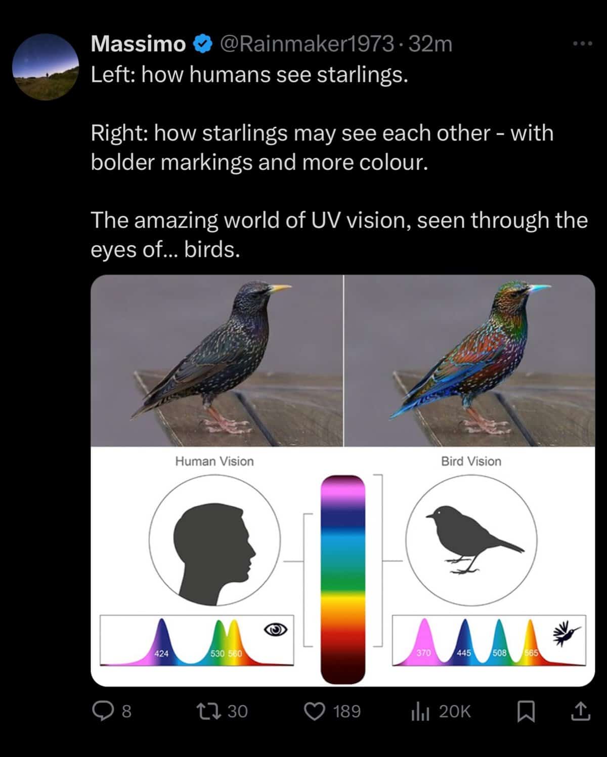 interesting infographics, cool infographics, unique infographics, creative infographics, data visualization, data viz, visual data, infographic design, amazing maps
