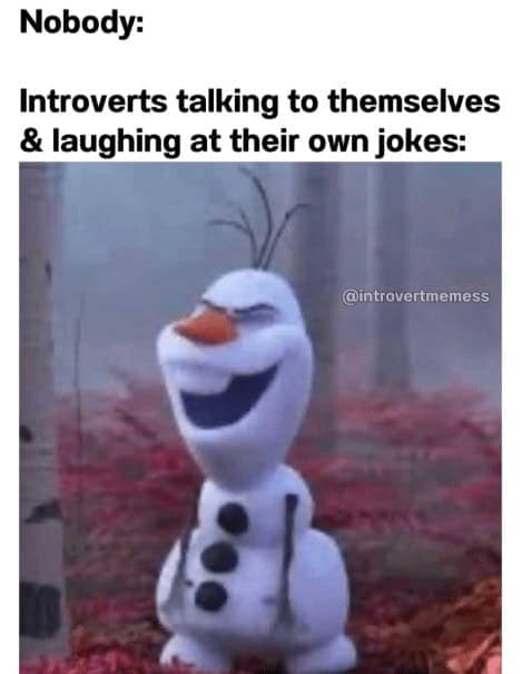 Nobody: Introverts talking to themselves & laughing at their own jokes: