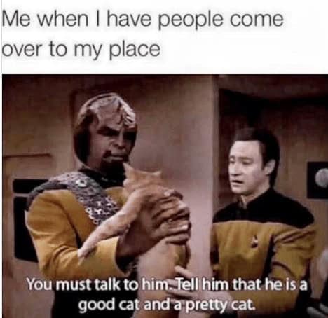 Me when I have people come over to my place You must talk to him. Tell him that he is a good cat and a pretty cat.