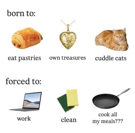 born to: eat pastries forced to: work own treasures cuddle cats clean cook all my meals???
