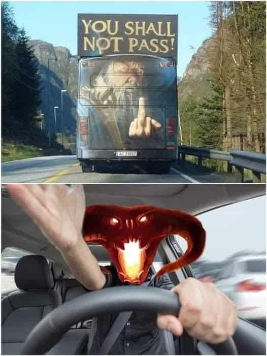 lotr memes, lord of the rings memes, middle earth memes, hobbit jokes, tolkien jokes, fellowship humor, gandalf memes, wizard jokes, staff humor, hobbit memes, shire jokes, baggins humor, funny lotr memes