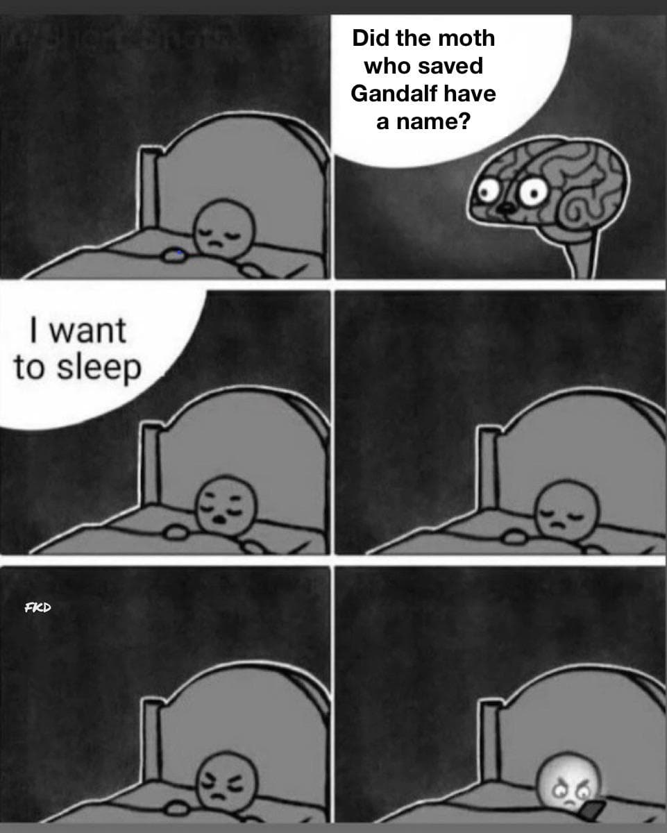 lotr memes, lord of the rings memes, middle earth memes, hobbit jokes, tolkien jokes, fellowship humor, gandalf memes, wizard jokes, staff humor, hobbit memes, shire jokes, baggins humor, funny lotr memes