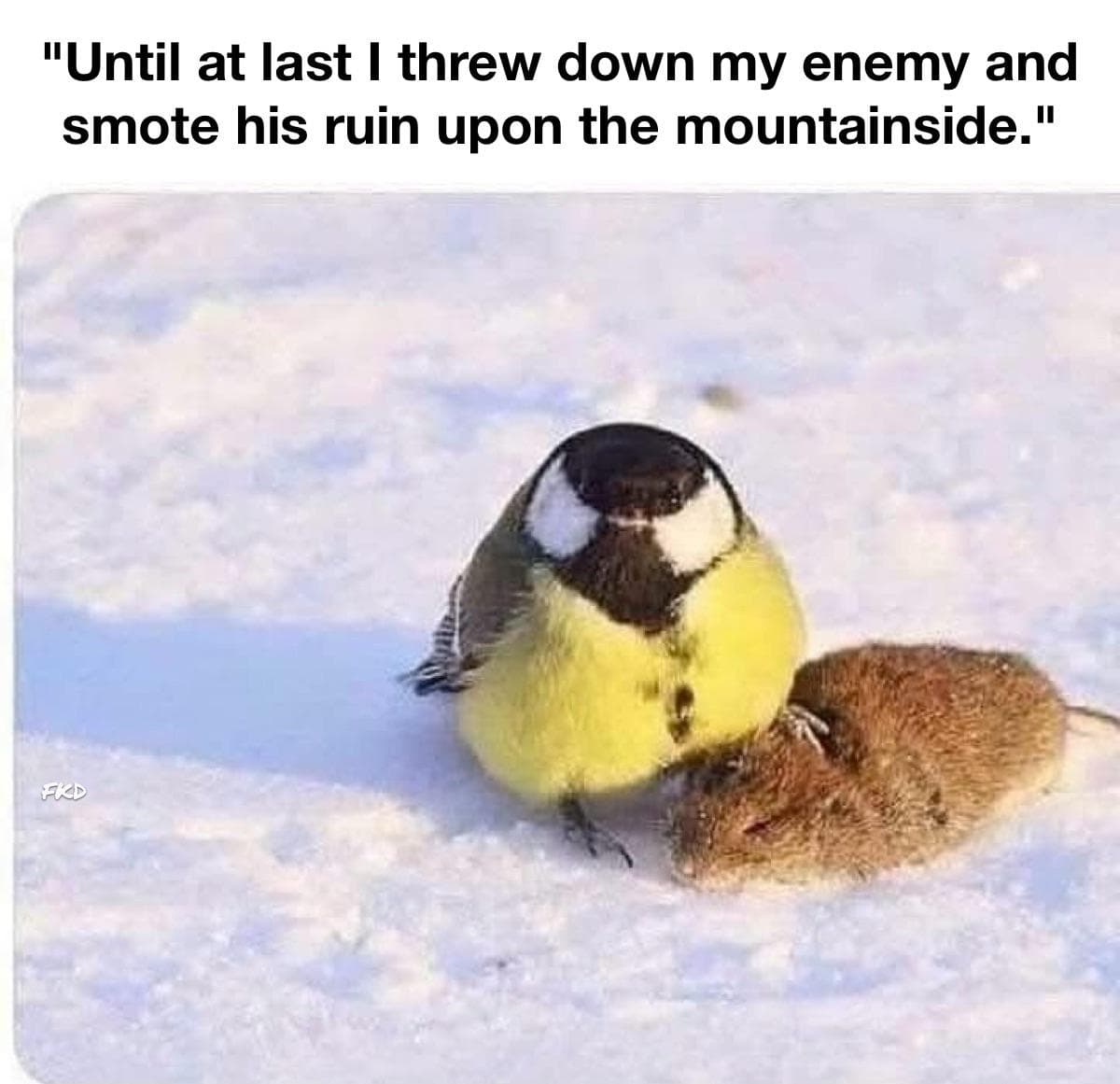 lotr memes, lord of the rings memes, middle earth memes, hobbit jokes, tolkien jokes, fellowship humor, gandalf memes, wizard jokes, staff humor, hobbit memes, shire jokes, baggins humor, funny lotr memes