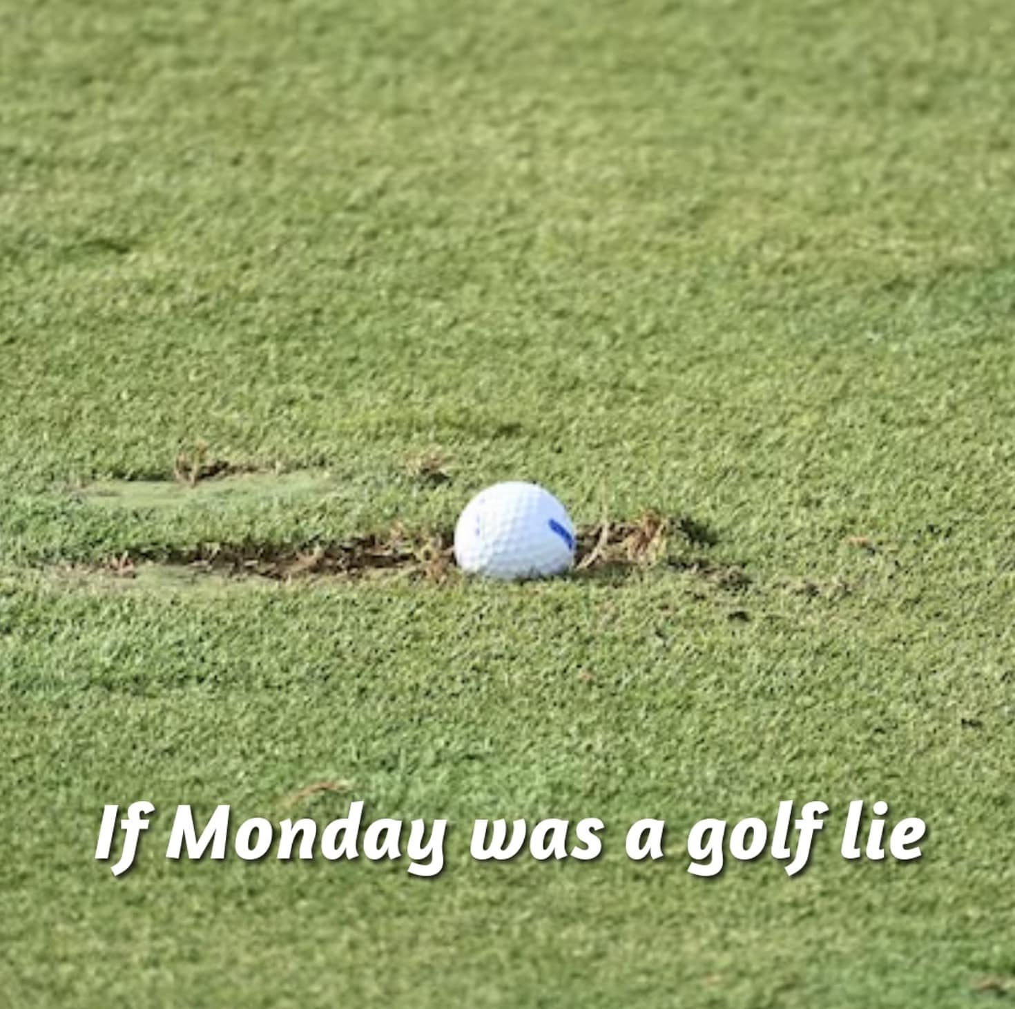 the last of us memes, tlou memes, memes, hbo tlou memes, last of us jokes, naughty dog memes, cordyceps jokes, hbo memes, streaming memes, prestige tv jokes, pedro pascal memes, joel memes, mandalorian dad jokes