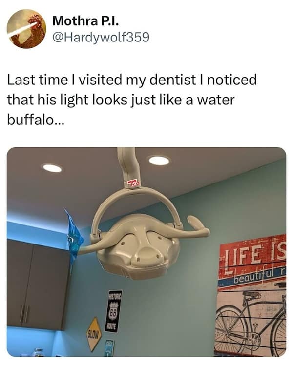 Last time I visited my dentist I noticed that his light looks just like a water buffalo...