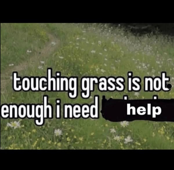 touching grass is not enough i need