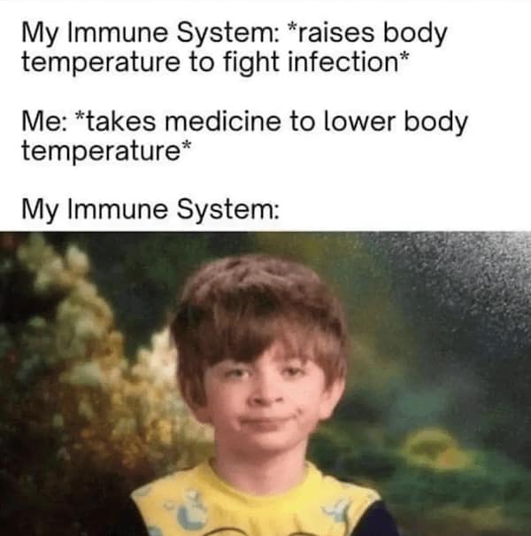 My Immune System: *raises body temperature to fight infection* Me: *takes medicine to lower body temperature* My Immune System:
