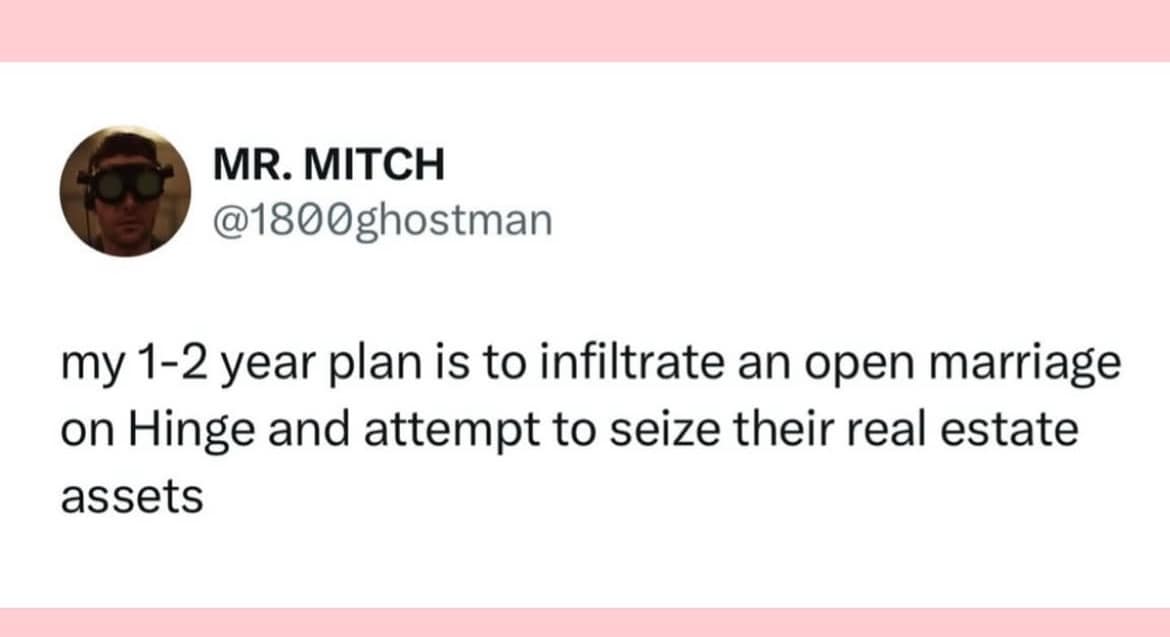 MR. MITCH @1800ghostman my 1-2 year plan is to infiltrate an open marriage on Hinge and attempt to seize their real estate assets