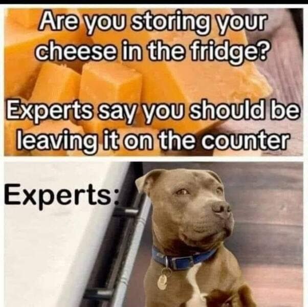 Are you storing your cheese in the fridge? Experts say you should be leaving it on the counter Experts