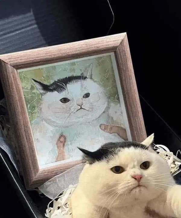 meme dump, funny memes, hilarious memes, meme collection, meme roundup, meme batch, meme gallery, dank memes, dank meme dump, internet meme, comedic memes, entertaining memes, uproarious memes, sidesplitting memes, trending memes, viral jokes, digital humor