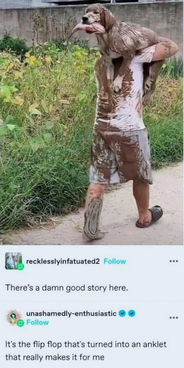 meme dump, funny memes, hilarious memes, meme collection, comedic meme spree, curated meme highlights, mild comedic snapshots, quick-laugh images, basic humor bits, deeper comedic triggers, unstoppable net jokes, bold comedic zingers, top-tier comedic gold, prime laugh collection, unstoppable comedic hits, memes funny, internet meme