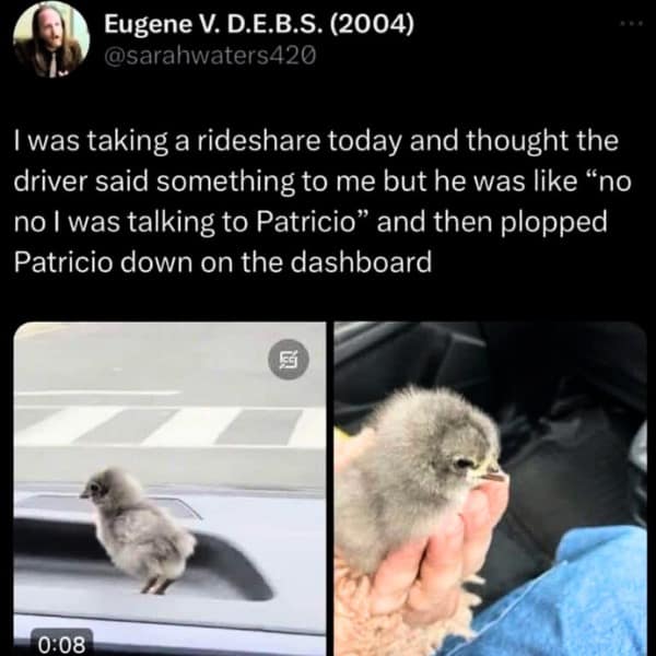 meme dump, funny memes, hilarious memes, meme collection, meme roundup, midday memes, meme gallery, comedic memes, silly memes, viral memes, internet memes, trending memes, entertaining memes, rofl-worthy memes, dank memes, dank meme dump, memes funny