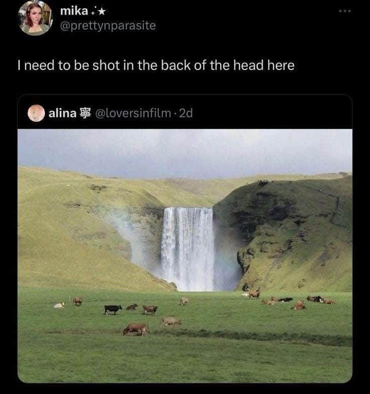 meme dump, funny memes, hilarious memes, meme collection, meme roundup, midday memes, meme gallery, comedic memes, silly memes, viral memes, internet memes, trending memes, entertaining memes, rofl-worthy memes, dank memes, dank meme dump, memes funny