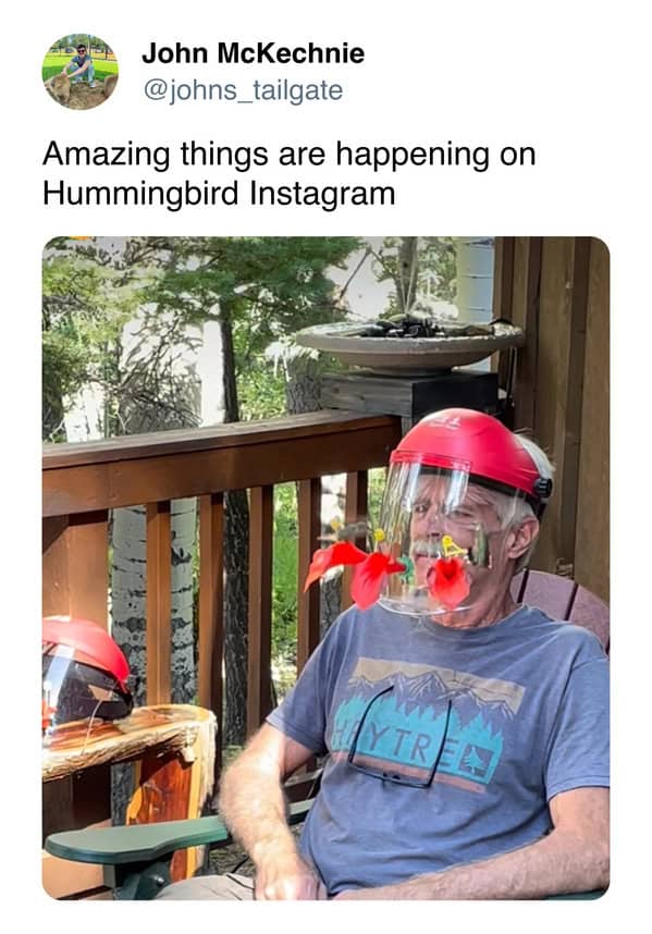 meme dump, funny memes, hilarious memes, Saturday memes, weekend humor, comedy collection, meme compilation, laughter fest, humor roundup, meme gallery, dank meme dump, dank memes