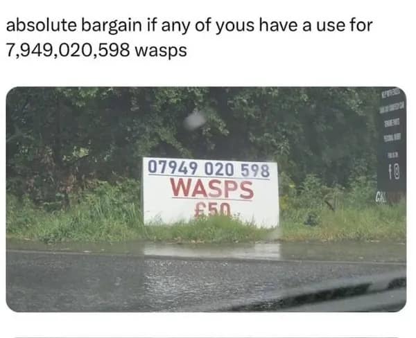 meme dump, funny memes, hilarious memes, meme collection, comedic meme spree, curated meme highlights, mild comedic snapshots, quick-laugh images, basic humor bits, deeper comedic triggers, unstoppable net jokes, bold comedic zingers, top-tier comedic gold, prime laugh collection, unstoppable comedic hits, memes funny, internet meme